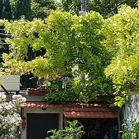 Mas De Avec Piscine Dans Son Cocon De Verdure - Esprit Industriel